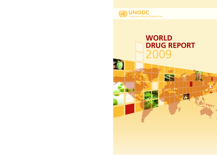 World Drug Report 2009 PDF file screenshot