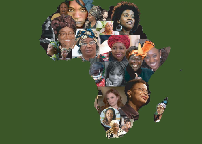 Journey to Equality: 10 Years of the Protocol on the Rights of Women in Africa PDF file screenshot