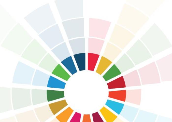 SDG Index and Dashboards Report 2017 Global Responsibilities: International Spillovers in Achieving the Goals PDF file screenshot