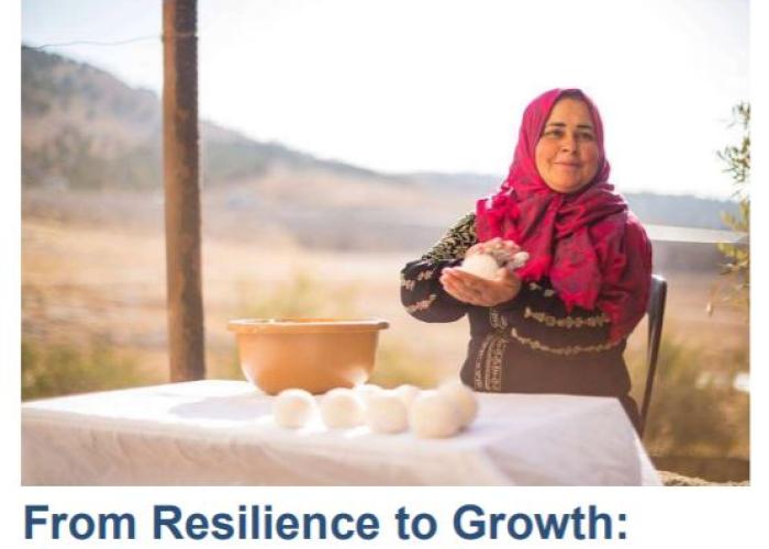 From Resilience to Growth: Realizing Jordan’s Development Vision PDF file screenshot