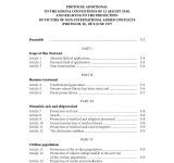 Additional Protocol (II) to the Geneva Conventions, 1977 PDF file screenshot