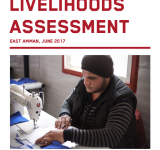 Area-Based Livelihoods Assessment PDF file screenshot