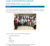 SGBV Sub Working Group Gap Analysis 2017/2018  PDF file screenshot