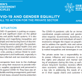 COVID-19 and Gender Equality:  A Call to Action for the Private Sector  PDF file screenshot