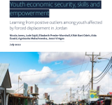 Youth economic security,skills and  empowerment Learning from positive outliers among youth affected  by forced displacement in Jordan PDF file screenshot