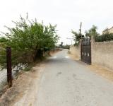 خلف أسوار المزراع.. عمال تحت سطوة الانتهاكات