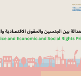 اولويات العدالة بين الجنسين والحقوق الاقتصادية والاجتماعية ٢٠٢٥,Gender Justice and Economic and Social Rights Priorities 2025
