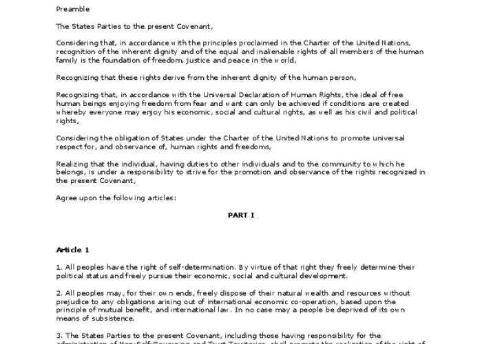 International Covenant on Economic, Social and Cultural Rights PDF file screenshot