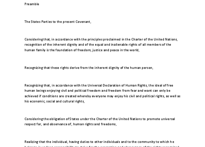 International Covenant on Civil and Political Rights PDF file screenshot