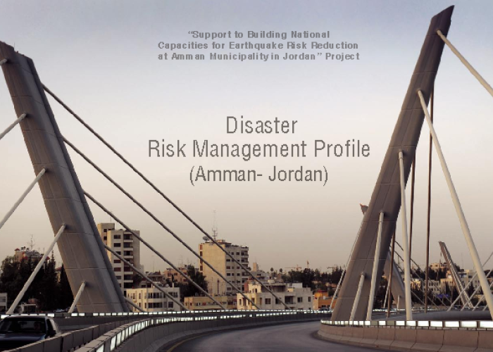 Disaster Risk Management Profile PDF file screenshot