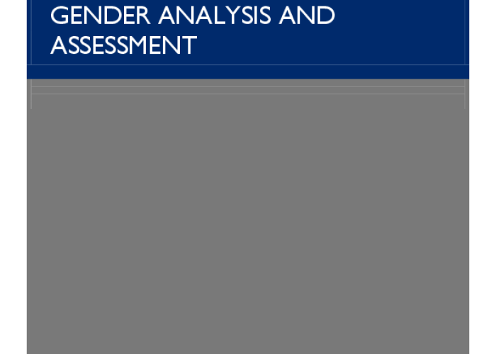USAID/Jordan: Gender Analysis and Assessment PDF file screenshot