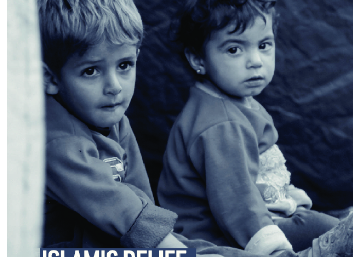 Islamic Relief Syria Emergency Response 2012-2014 PDF file screenshot
