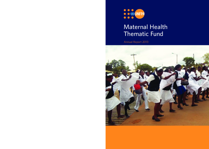 Maternal Health Thematic Fund: Annual Report 2013 PDF file screenshot