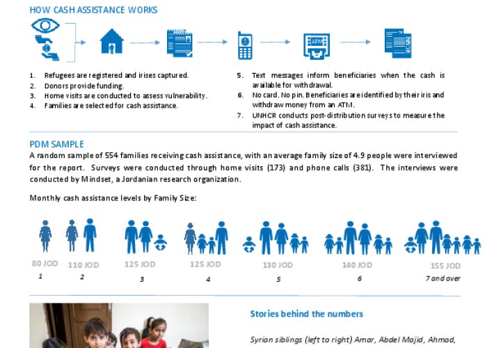Syrian Cash Assistance Post Distribution Monitoring 1st Quarter 2017 PDF file screenshot