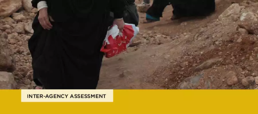 Gender Based Violence and Child Protection among Syrian Refugees in Jordan,With the Focus on Early Marriage PDF file screenshot